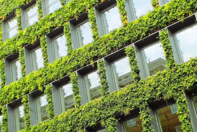 The Strategic Advantage of ESG in commercial real estate
